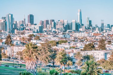 Dolores Park, San Francisco, California. Ön planda palmiye ağaçları ve arka planda San Francisco silueti olan park manzarası fotoğrafı