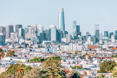Dolores Park, San Francisco, California. Ön planda palmiye ağaçları ve arka planda San Francisco silueti olan park manzarası fotoğrafı