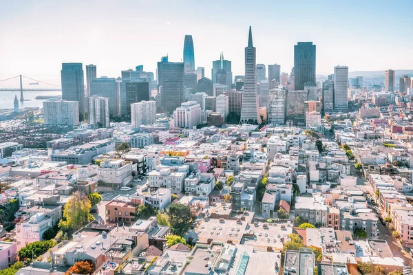 Beautiful Aerial View Coit Tower Downtown San Francisco Magnificent Skyscrapers — Stock fotografie