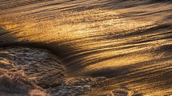 Ripple sea ocean water surface with golden sunset light. Sea waves, close up