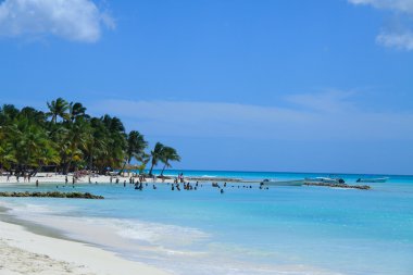 Caribbean beach (saona ada, Dominik Cumhuriyeti)