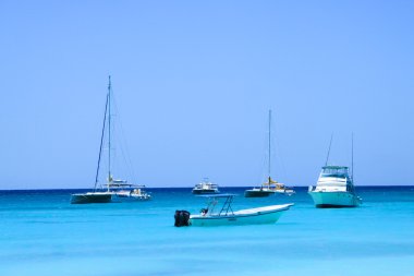 Caribbean beach (saona ada, Dominik Cumhuriyeti)