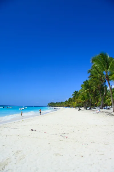 Karibská pláž (ostrov saona, Dominikánská republika) — Stock fotografie