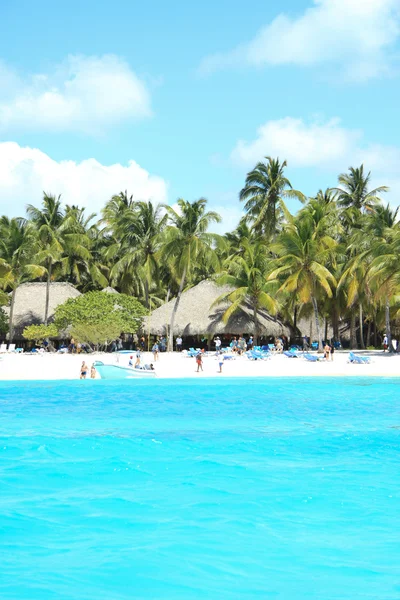 Caribbean strand (Saona, Dominicaanse Republiek) — Stockfoto