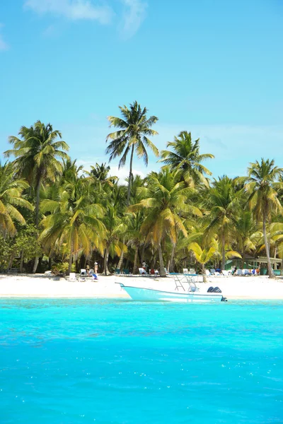 Caribbean strand (Saona, Dominicaanse Republiek) — Stockfoto