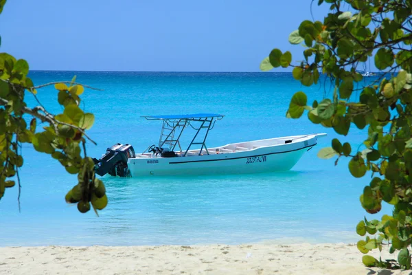 Plage des Caraïbes (Saona Island, République dominicaine) ) — Photo