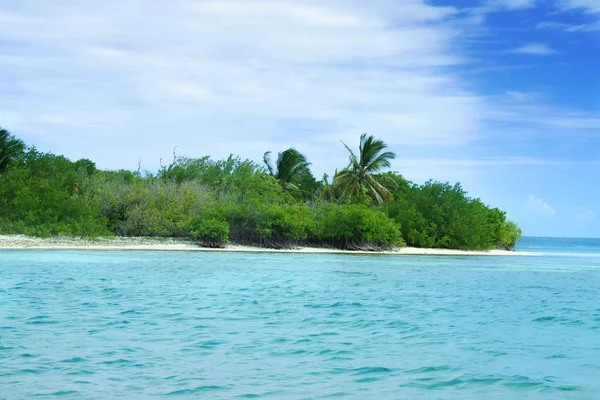 Catalina island, Dominican republic — Stock Photo, Image