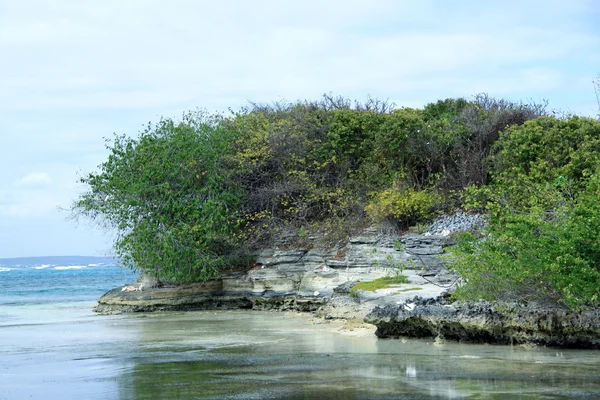 Catalina island, Dominican republic — Stock Photo, Image