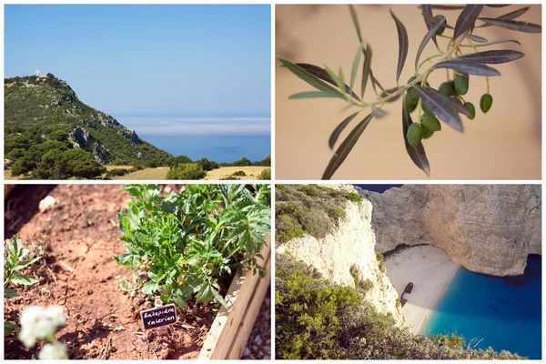 Zakynthos Island Collage, Greece, Zante, Zakintos — Stock Photo, Image