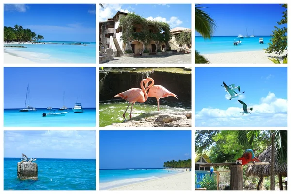 Tropical collage, Dominican Republic. — Stock Photo, Image