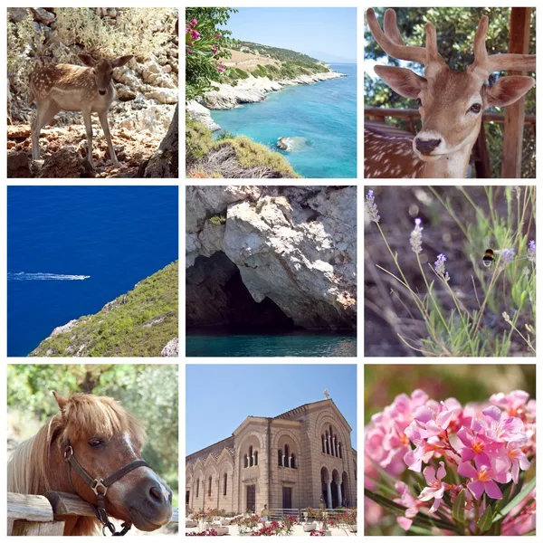 Ilha de Zakynthos Colagem, Grécia, Zante, Zakintos Fotografias De Stock Royalty-Free