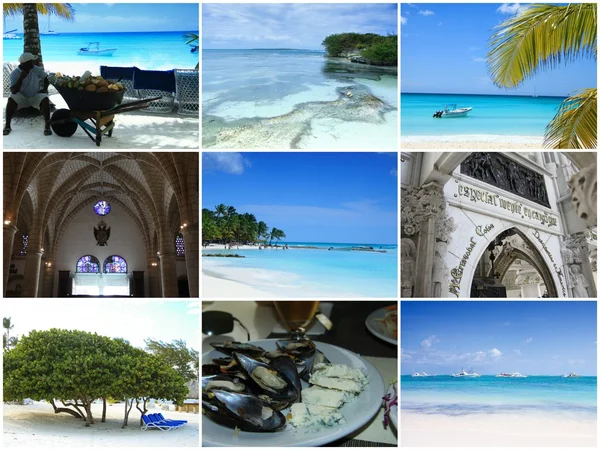 Tropical collage, Dominican Republic. — Stock Photo, Image