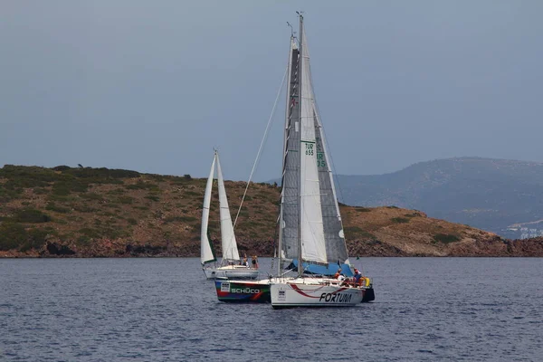 Bodrum Turkiet Maj 2018 Segelbåtar Seglar Blåsigt Väder Egeiska Havets — Stockfoto