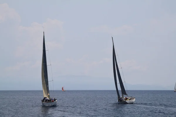 Bodrum Turkiet Maj 2018 Segelbåtar Seglar Blåsigt Väder Egeiska Havets — Stockfoto