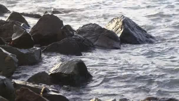 波が岩の多い海岸にぶつかります 柔らかい波が湾で巨大な石をクラッシュします 海岸の岩の風景に海の波が壊れます 海の波がクラッシュし 岩の上にスプラッシュ ビーチロックの海の波速報 — ストック動画