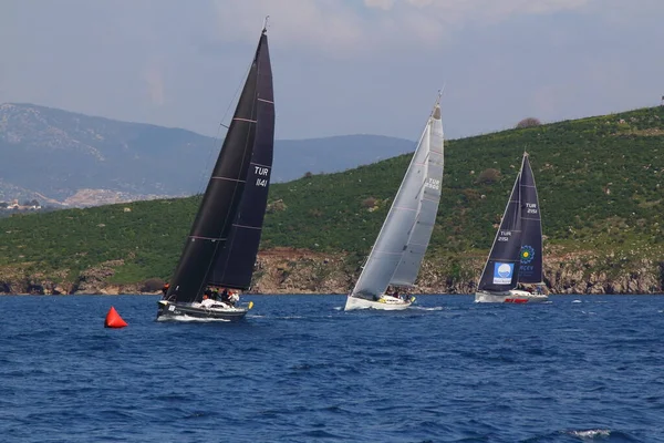 トルコのボドルム 2019年3月3日 エーゲ海の青い海 有名な休日の目的地の海岸で風の強い天候の中で帆船が出航するボドルム — ストック写真