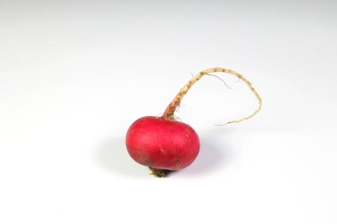 Beyaz arkaplanda taze turp, kırmızı turp.