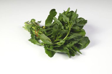 Beyaz arka planda izole edilmiş canlı teresi, sebze.