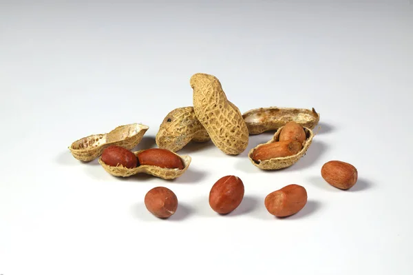 Erdnuss Getrocknete Erdnüsse Affennuss Auf Weißem Hintergrund — Stockfoto