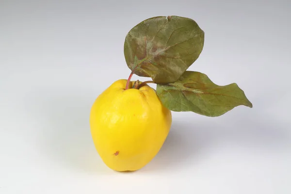 Frutto Mela Cotogna Maturo Isolato Sfondo Bianco — Foto Stock