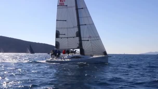 土耳其 Bodrum 2022年2月5日 帆船在爱琴海蓝色水域的大风天气中航行 该水域位于著名度假胜地波鼓市的海岸 — 图库视频影像