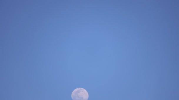 Time Lapse Close Full Bright Moon Moving Blue Night Sky — Stock Video