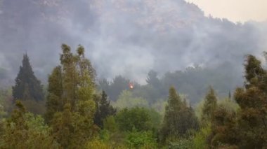 Ormanda ve çalılık alanlarda yangın. Derekoy köyündeki orman dumanlı Wildfire 'ın 2022 ilkbaharında Mugla Bodrum Türkiye' deki görüntüsü
