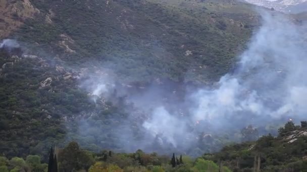 Ormanda Çalılık Alanlarda Yangın Derekoy Köyündeki Orman Dumanlı Wildfire 2022 — Stok video