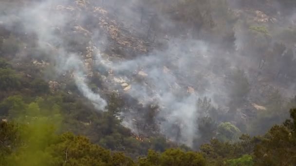 Ormanda Çalılık Alanlarda Yangın Derekoy Köyündeki Orman Dumanlı Wildfire 2022 — Stok video