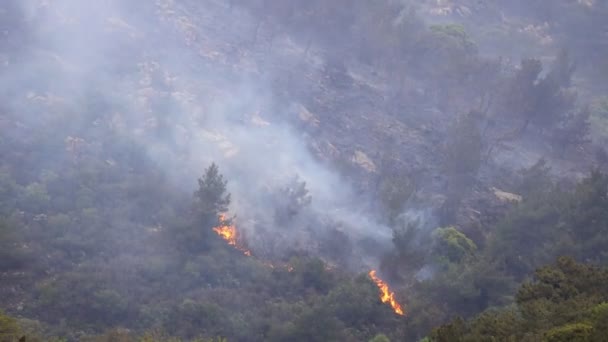 Pożar Lesie Zarośla Nagranie Wildfire Dymem Lesie Miejscowości Derekoy Mugla — Wideo stockowe