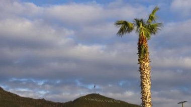 Rüzgarda savrulan palmiye yaprakları ve mavi gökyüzü. Arkadaki dağın tepesinde bir Türk bayrağı var. Kıyı kasabasının adı 