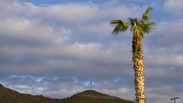 Palmenblätter Wehen Wind Und Blauer Himmel Hinten Auf Dem Gipfel — Stockvideo
