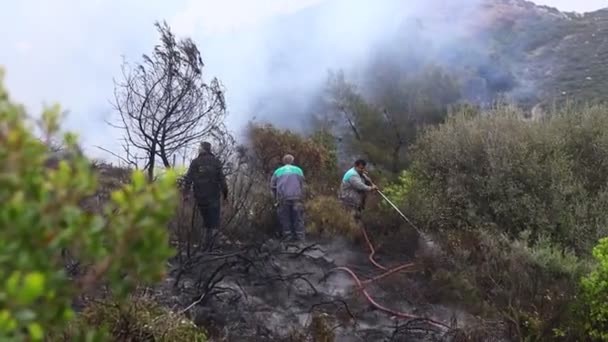 Bodrum Turchia Aprile 2022 Incendio Nelle Aree Boschive Macchia Filmato — Video Stock