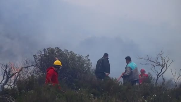 Bodrum Turkey April 2022 Fire Forest Scrub Areas Footage Wildfire — Stock Video