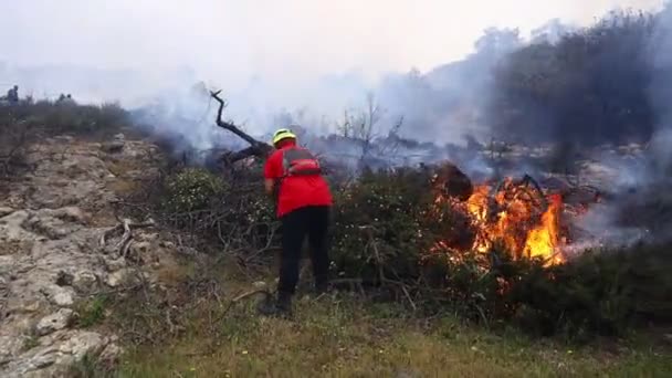 Bodrum Turquie Avril 2022 Incendie Dans Les Zones Forêt Broussailles — Video