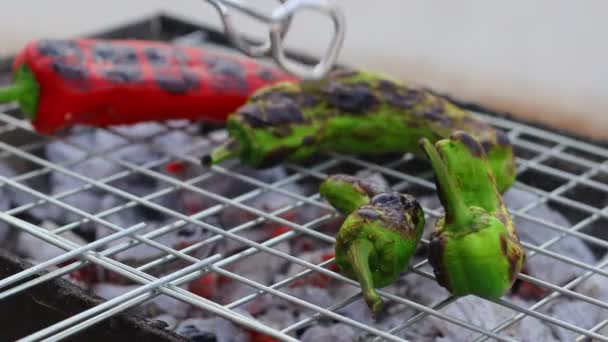 Green Red Peppers Cooking Coals Grill Outdoors Video Sunshine — Wideo stockowe