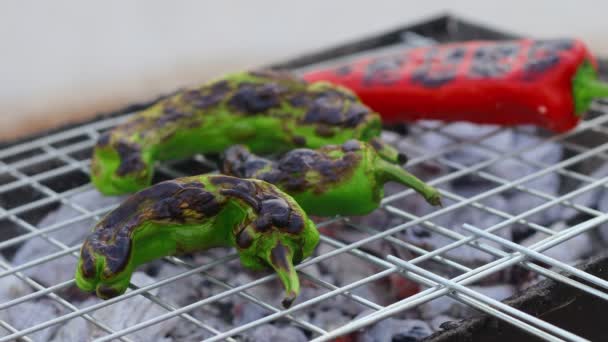 Los Pimientos Verdes Rojos Cocinan Parrilla Vídeo Aire Libre Con — Vídeos de Stock