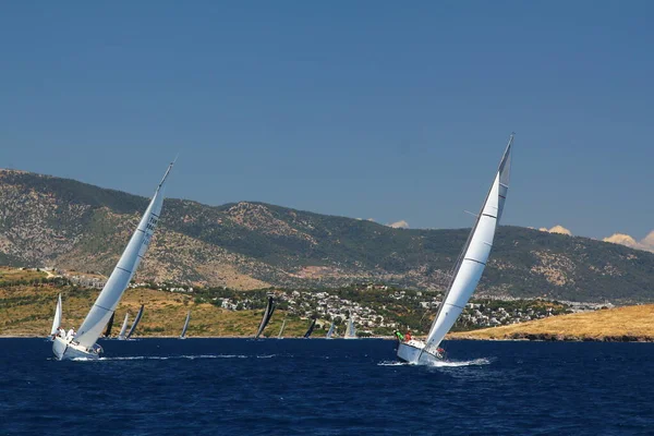 Bodrum Turkey May 2019 Sailboats Sail Windy Weather Blue Waters — 스톡 사진