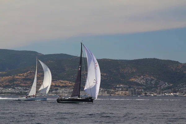 Bodrum Turkey May 2019 Sailboats Sail Windy Weather Blue Waters — Stock Fotó