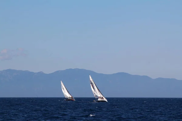 Bodrum Turkey May 2019 Sailboats Sail Windy Weather Blue Waters — Foto de Stock