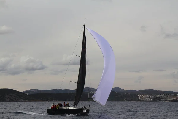 Bodrum Turkey January 2019 Sailboats Sail Windy Weather Blue Waters — Foto Stock