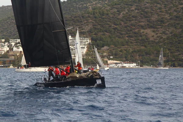 Bodrum Turkiet Januari 2019 Segelbåtar Seglar Blåsigt Väder Egeiska Havets — Stockfoto