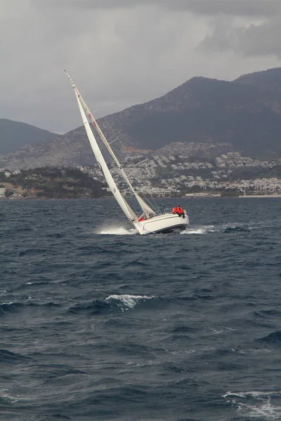 Bodrum Turkiet Januari 2019 Segelbåtar Seglar Blåsigt Väder Egeiska Havets — Stockfoto