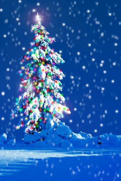 Christmas tree outside. — Stock Photo, Image