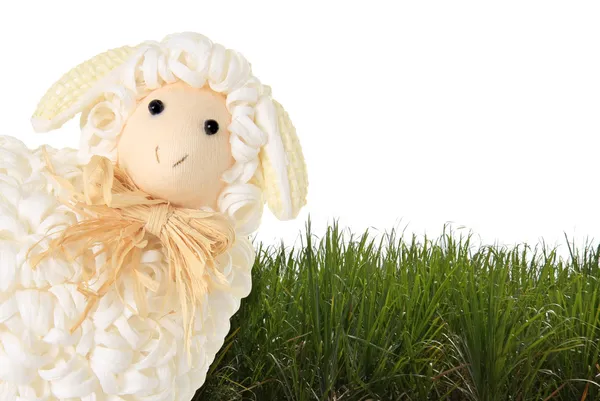 Easter sheep — Stock Photo, Image