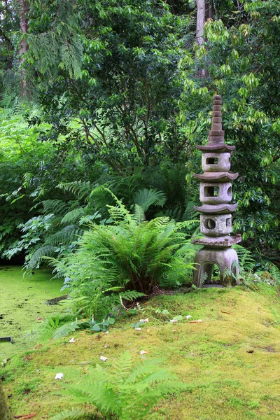 Japansk trädgård — Stockfoto