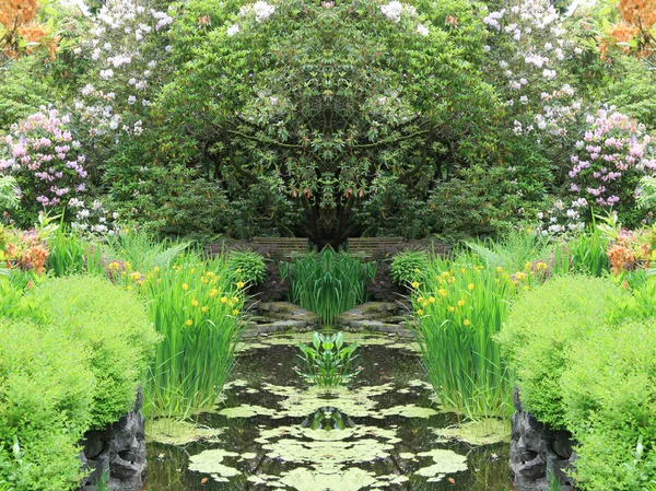 Zahradní rybník — Stock fotografie