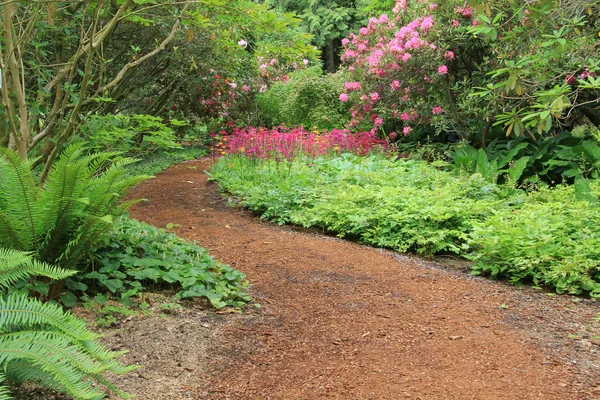 Garden path — Stock Photo, Image