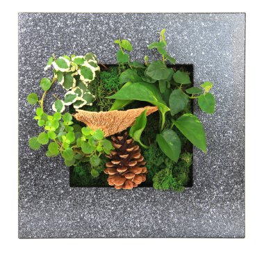 Contemporary wall planter clipart