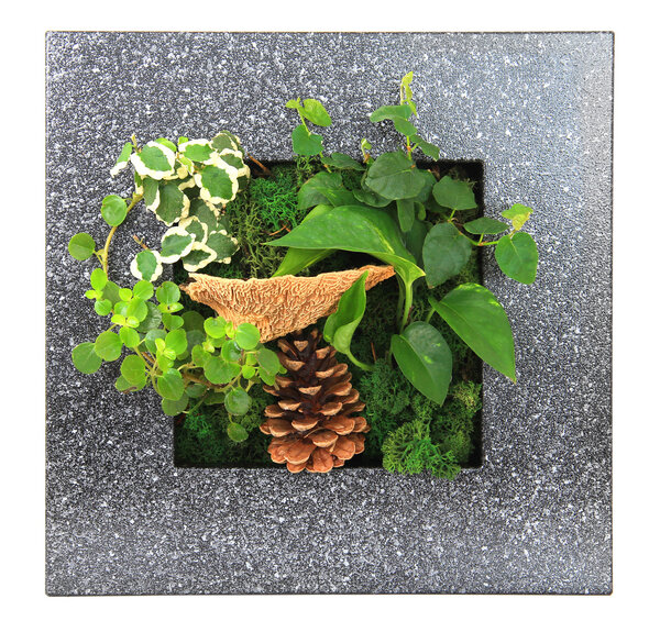 Contemporary wall planter